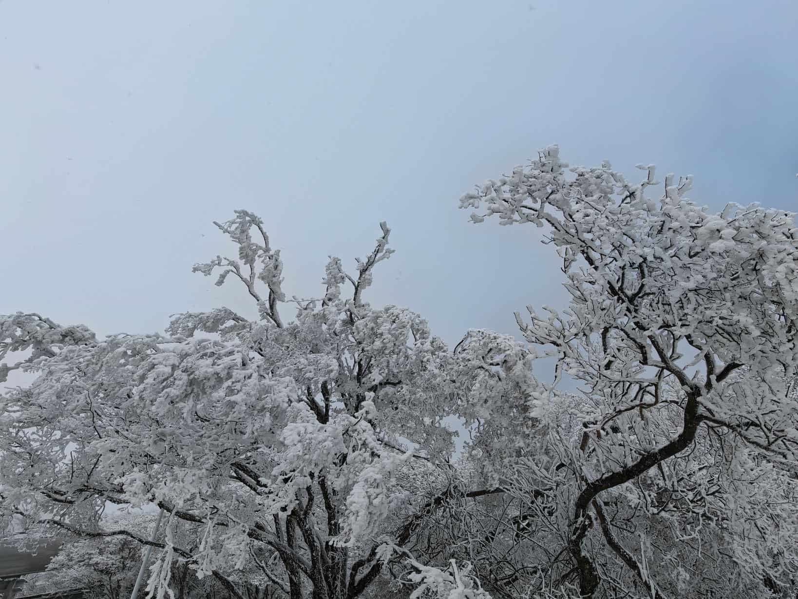 汉中龙头山雪景